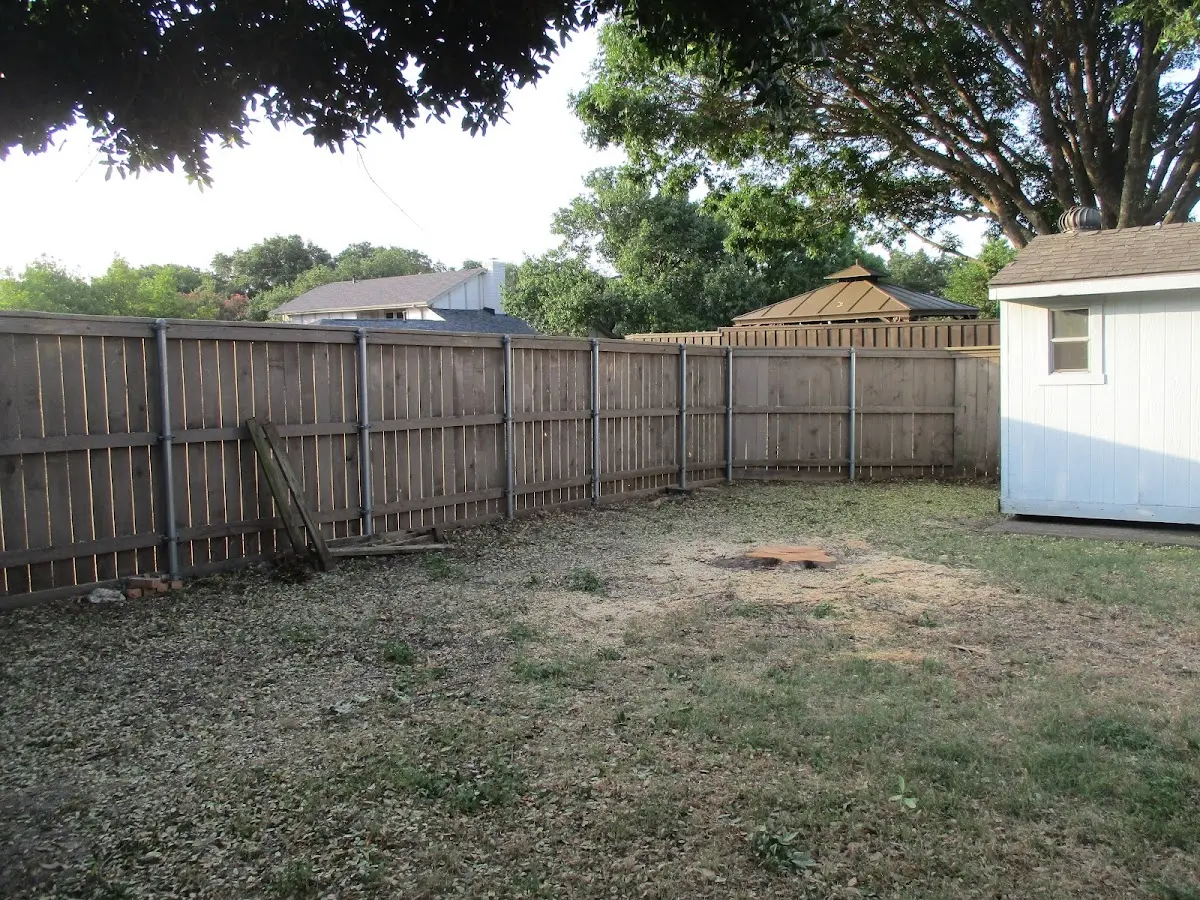 Cleared yard after professional tree removal in Bob White